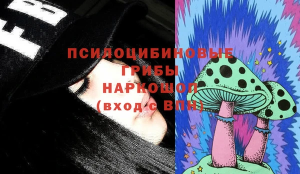 apvp Вязьма