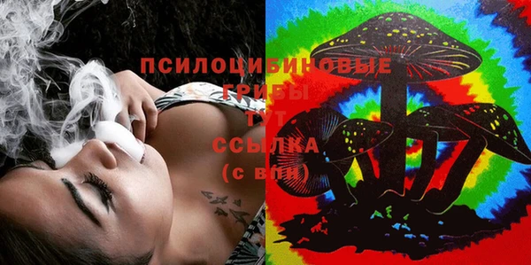 ECSTASY Вяземский