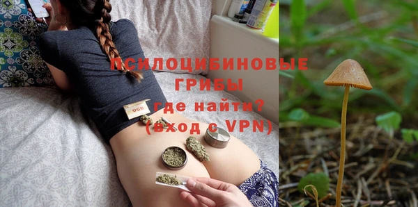 ECSTASY Вяземский