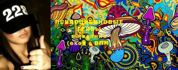 ECSTASY Вяземский